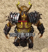 宝宝11