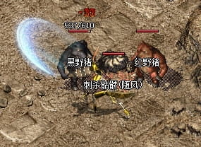 宝宝4