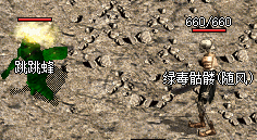 宝宝6